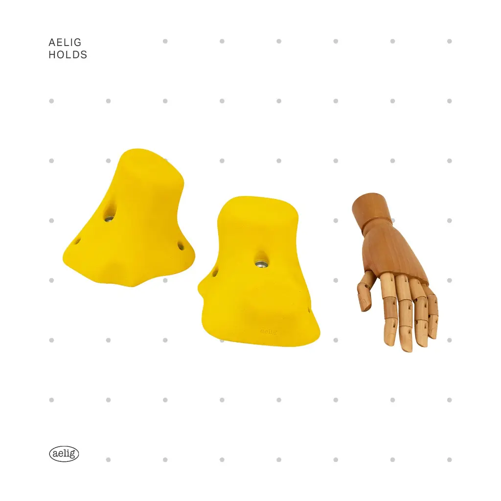 AELIG HOLDS - UPDATE SET - AUGUST310.webp