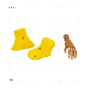 AELIG HOLDS - UPDATE SET - AUGUST315.webp
