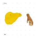 AELIG HOLDS - UPDATE SET - AUGUST320.webp