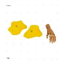 AELIG HOLDS - UPDATE SET - AUGUST312.webp