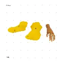 AELIG HOLDS - UPDATE SET - AUGUST313.webp