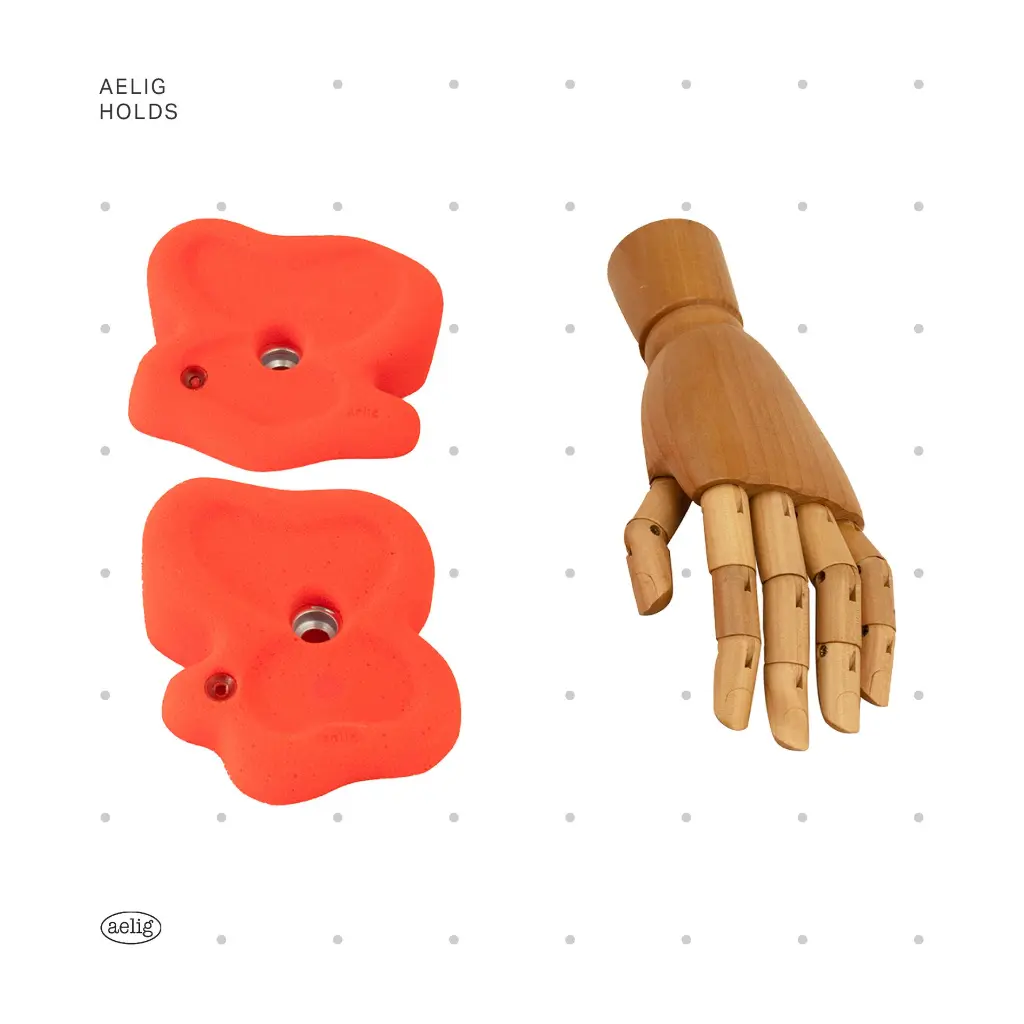 AELIG HOLDS - UPDATE SET - AUGUST375.webp