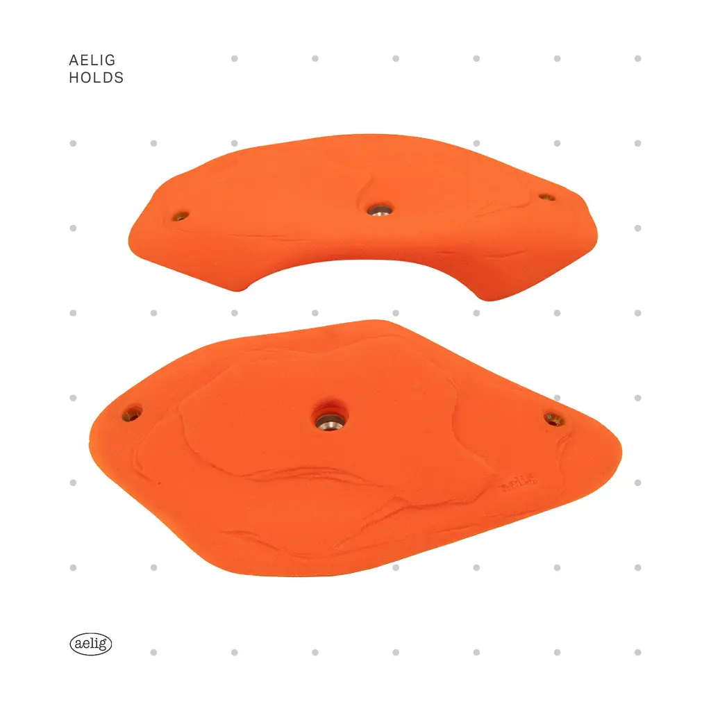 AELIG HOLDS - UPDATE SET - AUGUST390.webp