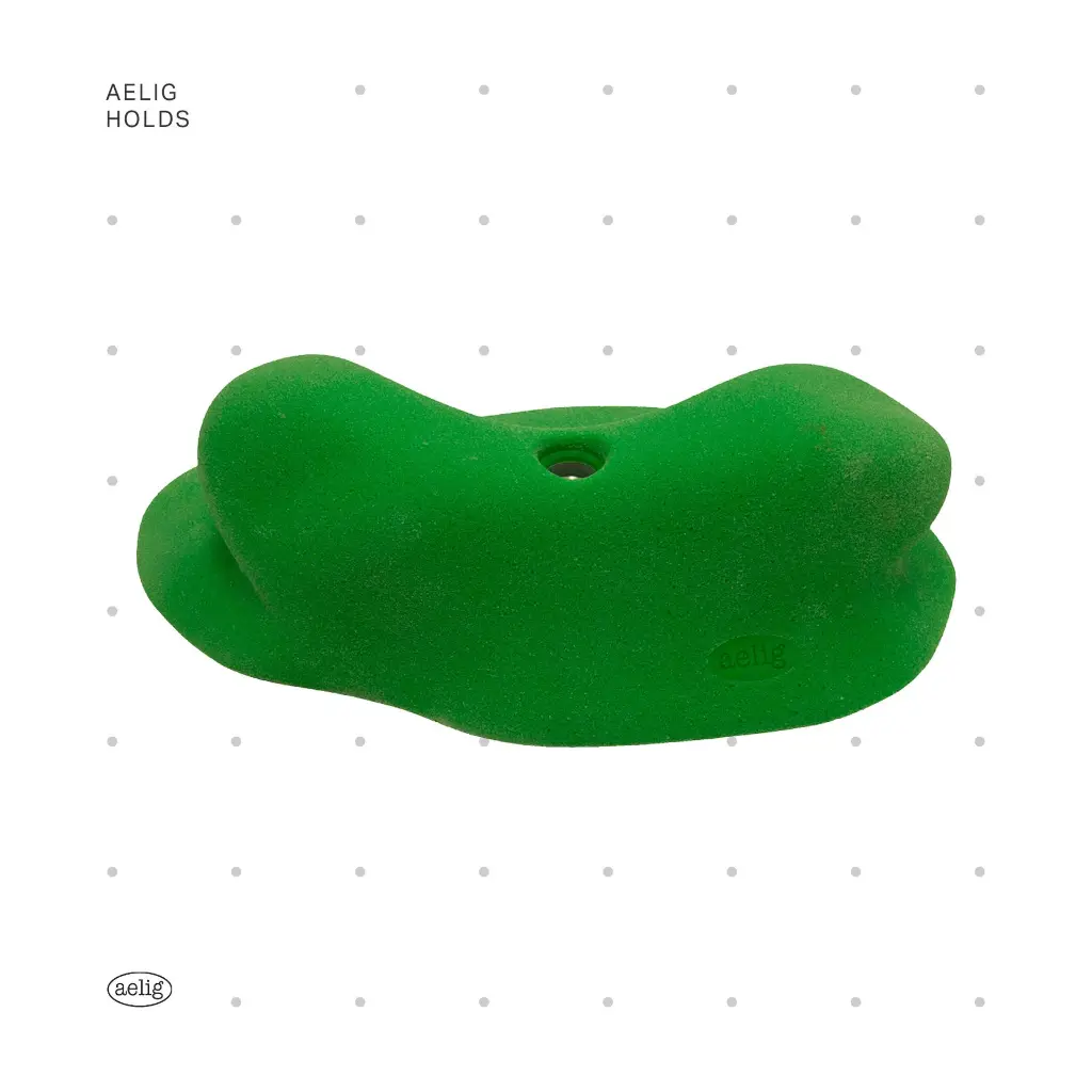 AELIG HOLDS - UPDATE SET - AUGUST416.webp