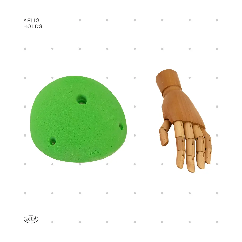 AELIG HOLDS - UPDATE SET - AUGUST283.webp