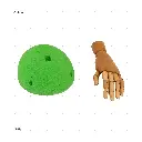 AELIG HOLDS - UPDATE SET - AUGUST283.webp