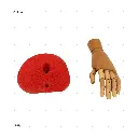 AELIG HOLDS - UPDATE SET - AUGUST282.webp