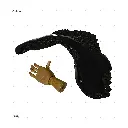 AELIG HOLDS - UPDATE SET - AUGUST474.webp