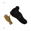 AELIG HOLDS - UPDATE SET - AUGUST465.webp