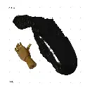 AELIG HOLDS - UPDATE SET - AUGUST475.webp