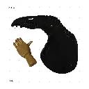 AELIG HOLDS - UPDATE SET - AUGUST476.webp