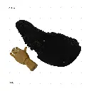AELIG HOLDS - UPDATE SET - AUGUST466.webp