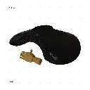 AELIG HOLDS - UPDATE SET - AUGUST479.webp