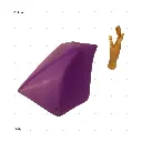 AELIG HOLDS - UPDATE SET - AUGUST519.webp