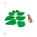 AELIG HOLDS - UPDATE SET - AUGUST298.webp