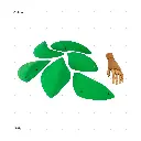 AELIG HOLDS - UPDATE SET - AUGUST296.webp