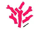 image184.webp