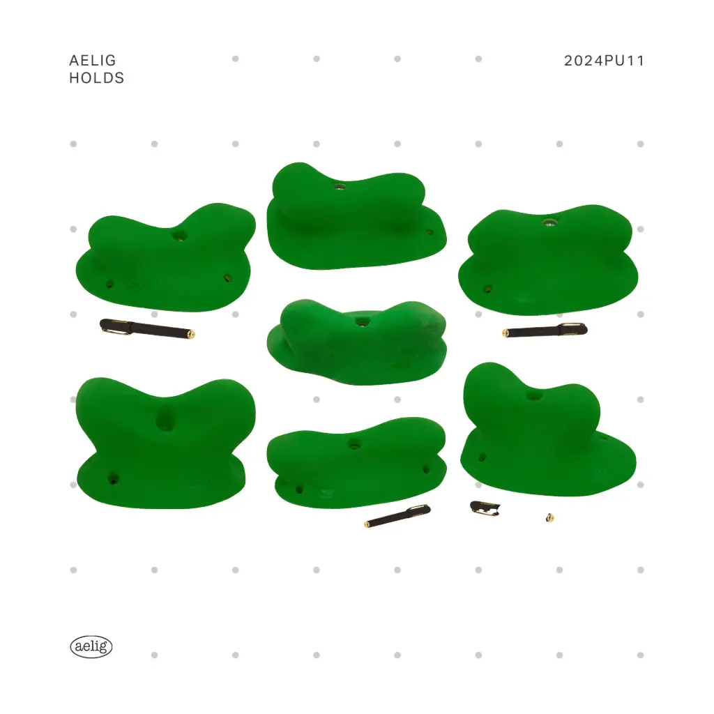 2024PU11 (RAL5017 Traffic Blue (US))