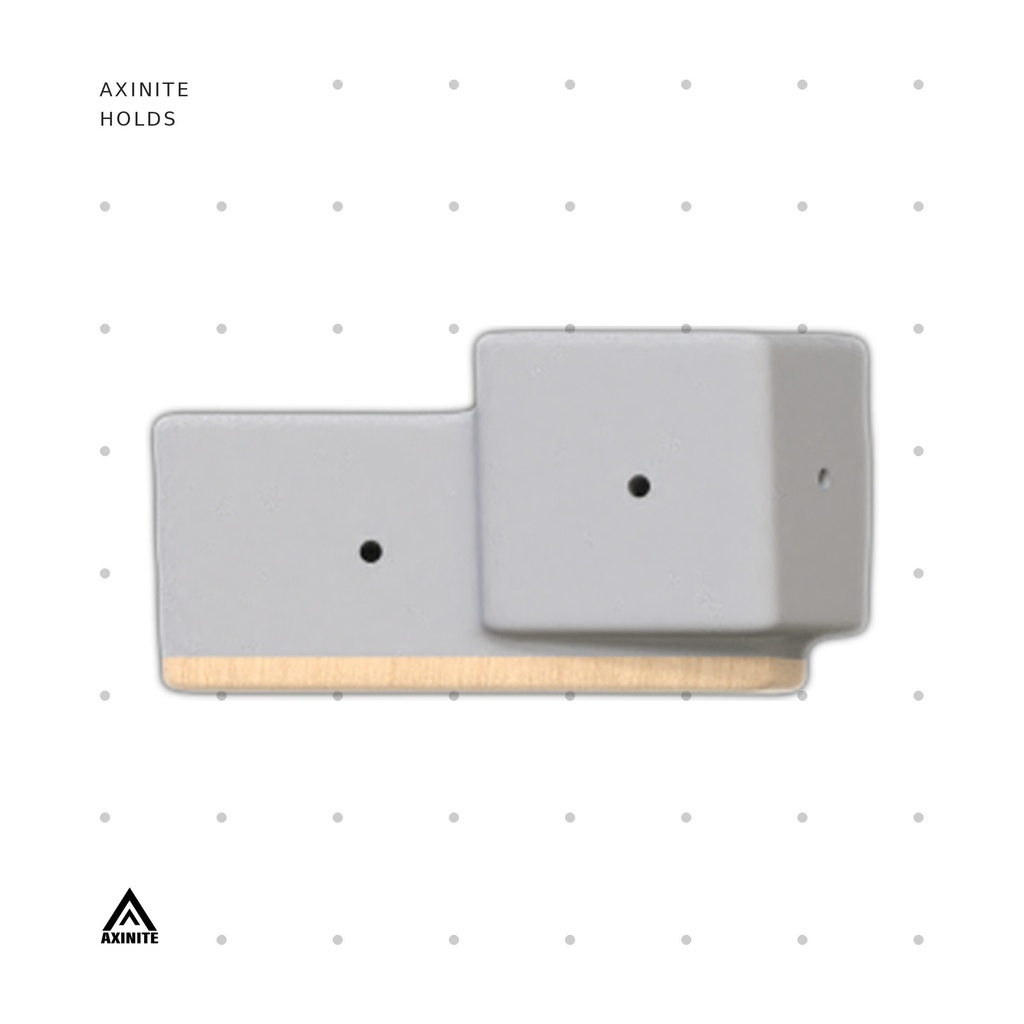 [AXI-Rectigon01] Rectigon01