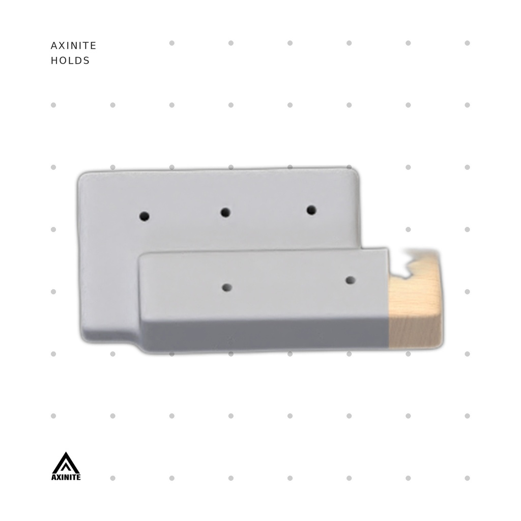 [AXI-Rectigon02] Rectigon02
