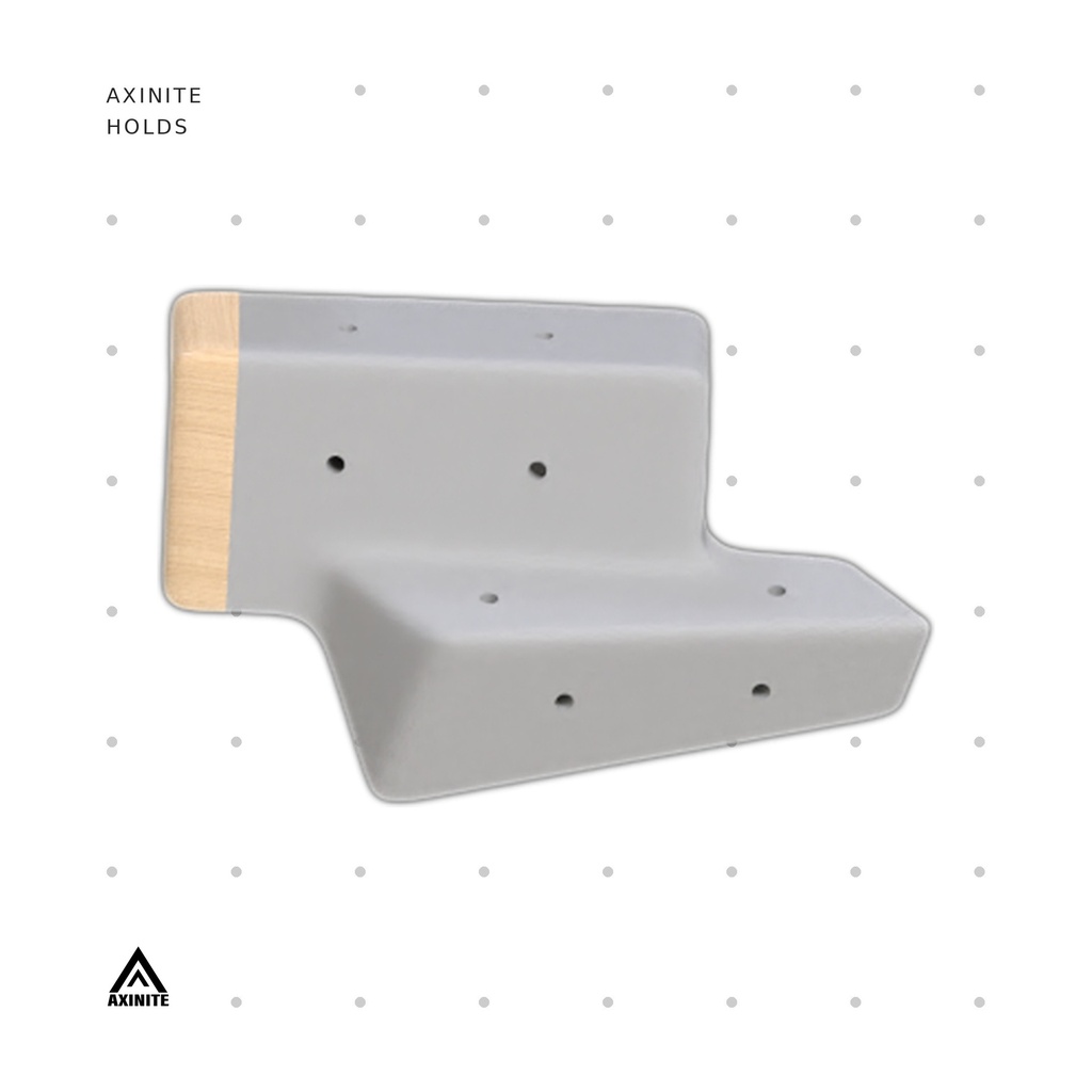 [AXI-Rectigon03] Rectigon03