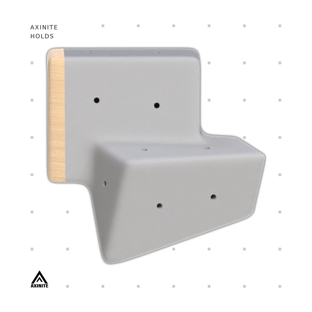 [AXI-Rectigon05] Rectigon05