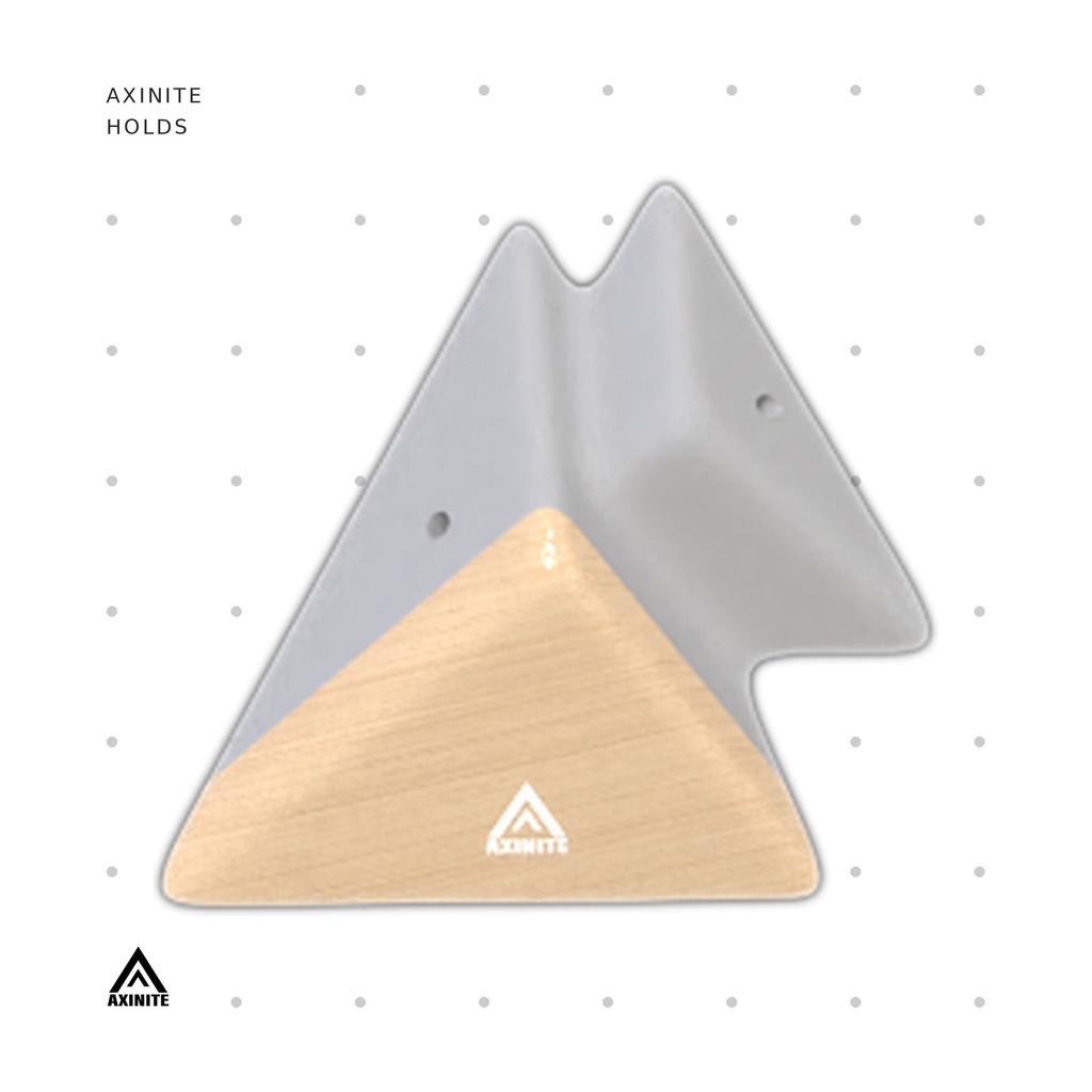 [AXI-Rectigon06] Rectigon06