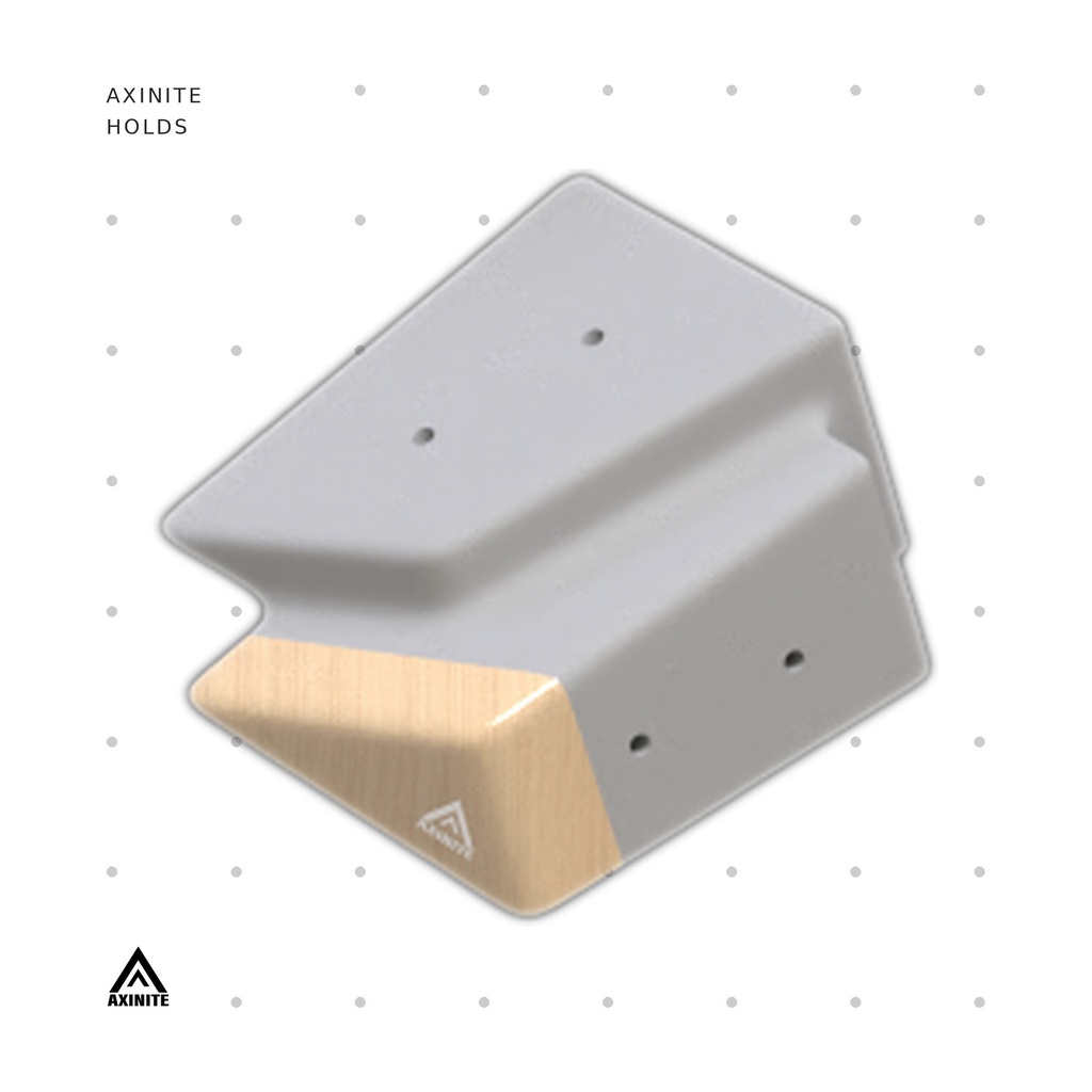 [AXI-Rectigon08] Rectigon08