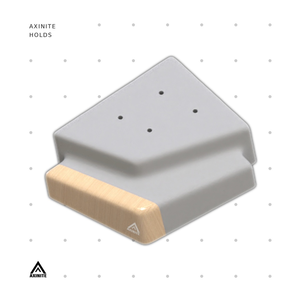 [AXI-Rectigon09] Rectigon09