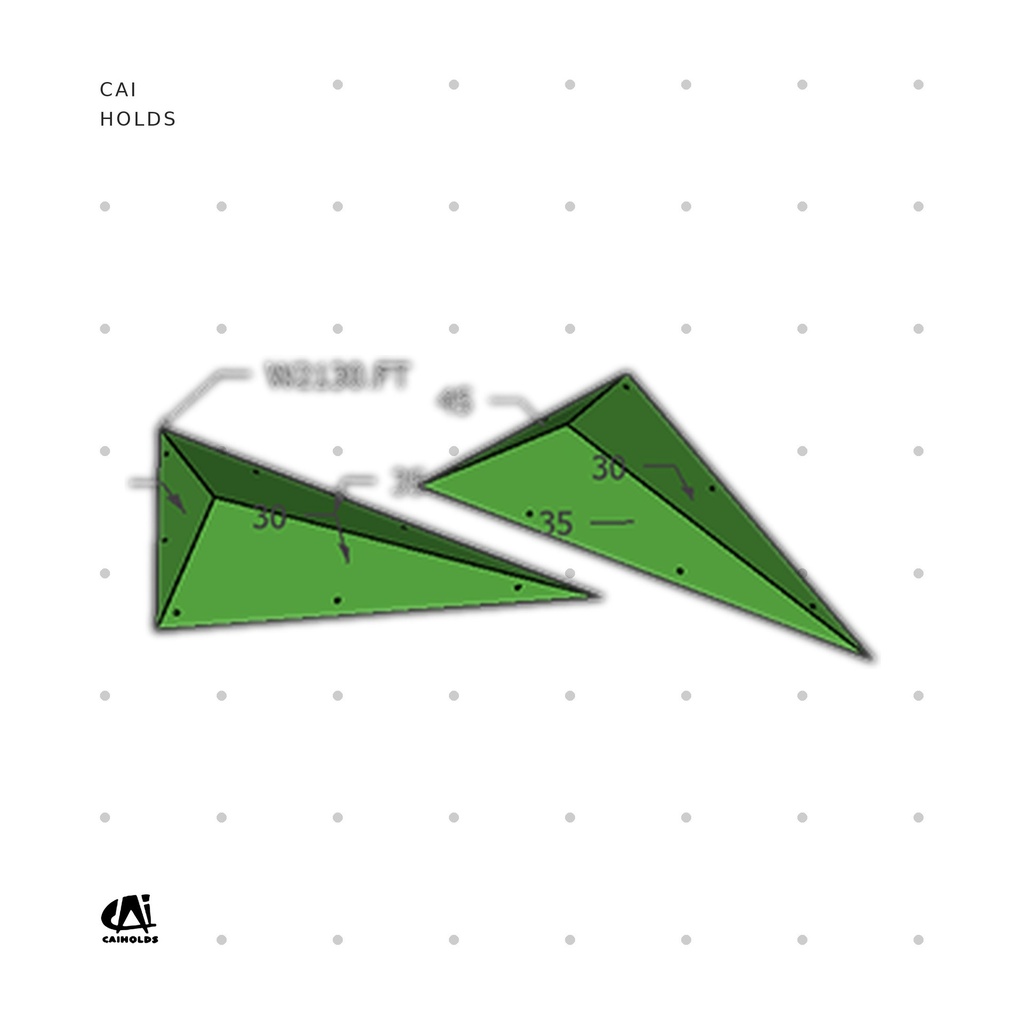 [CAI-W2130.FT] W2130.FT