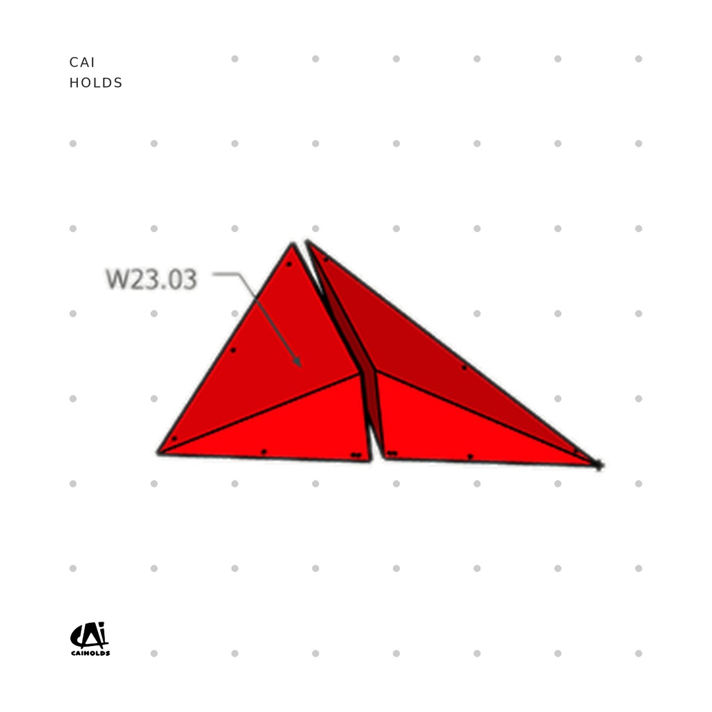 [CAI-W2303.FT] W2303.FT