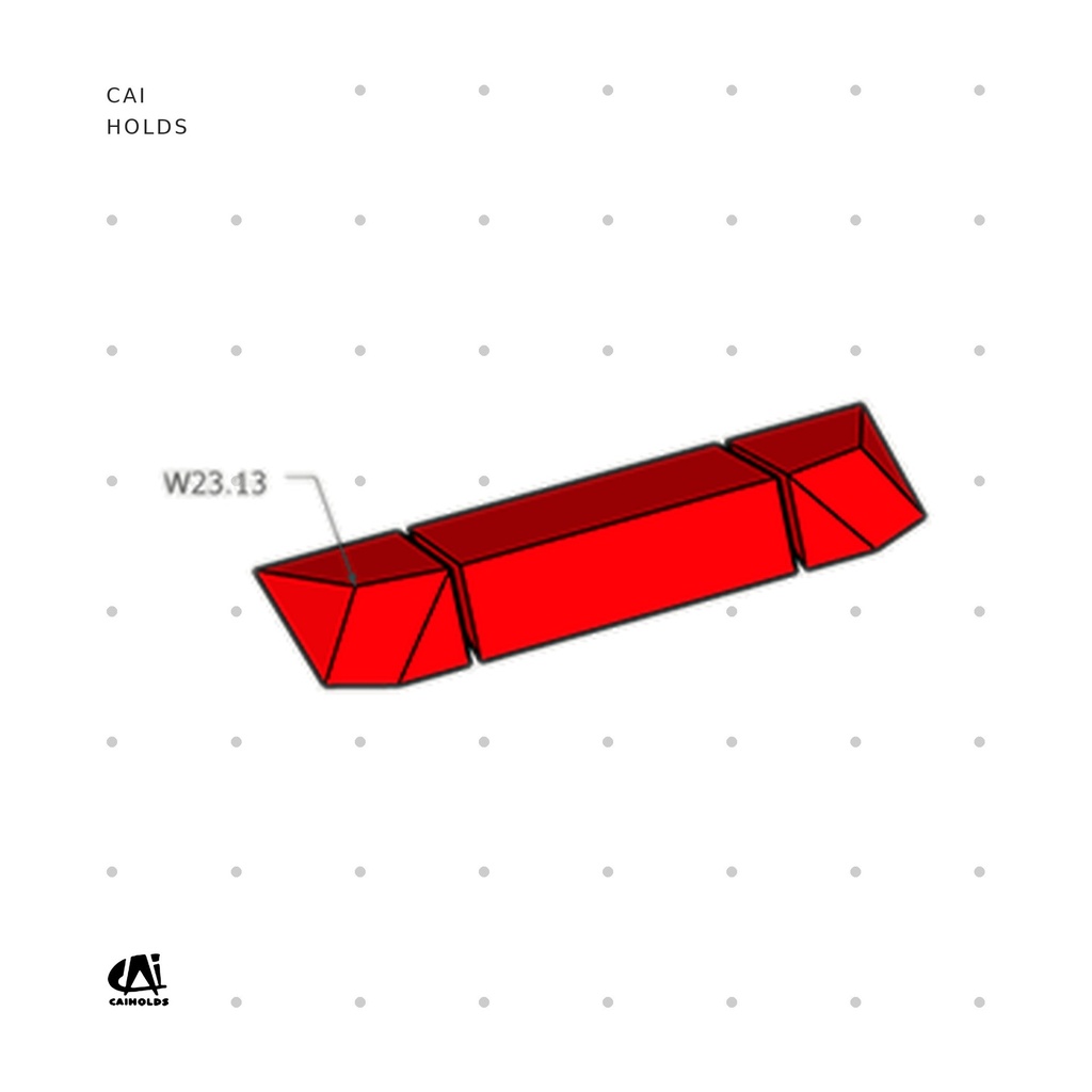 [CAI-W2313.FT] W2313.FT