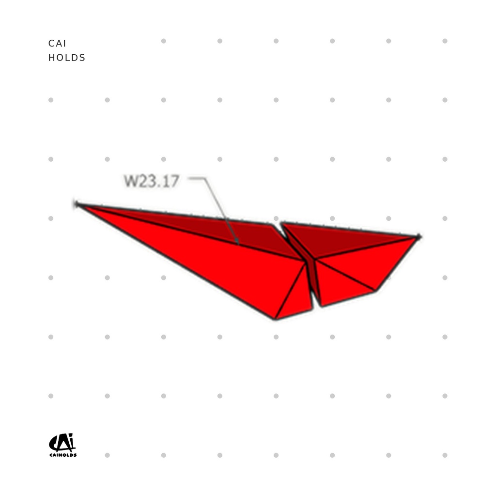 [CAI-W2317.FT] W2317.FT