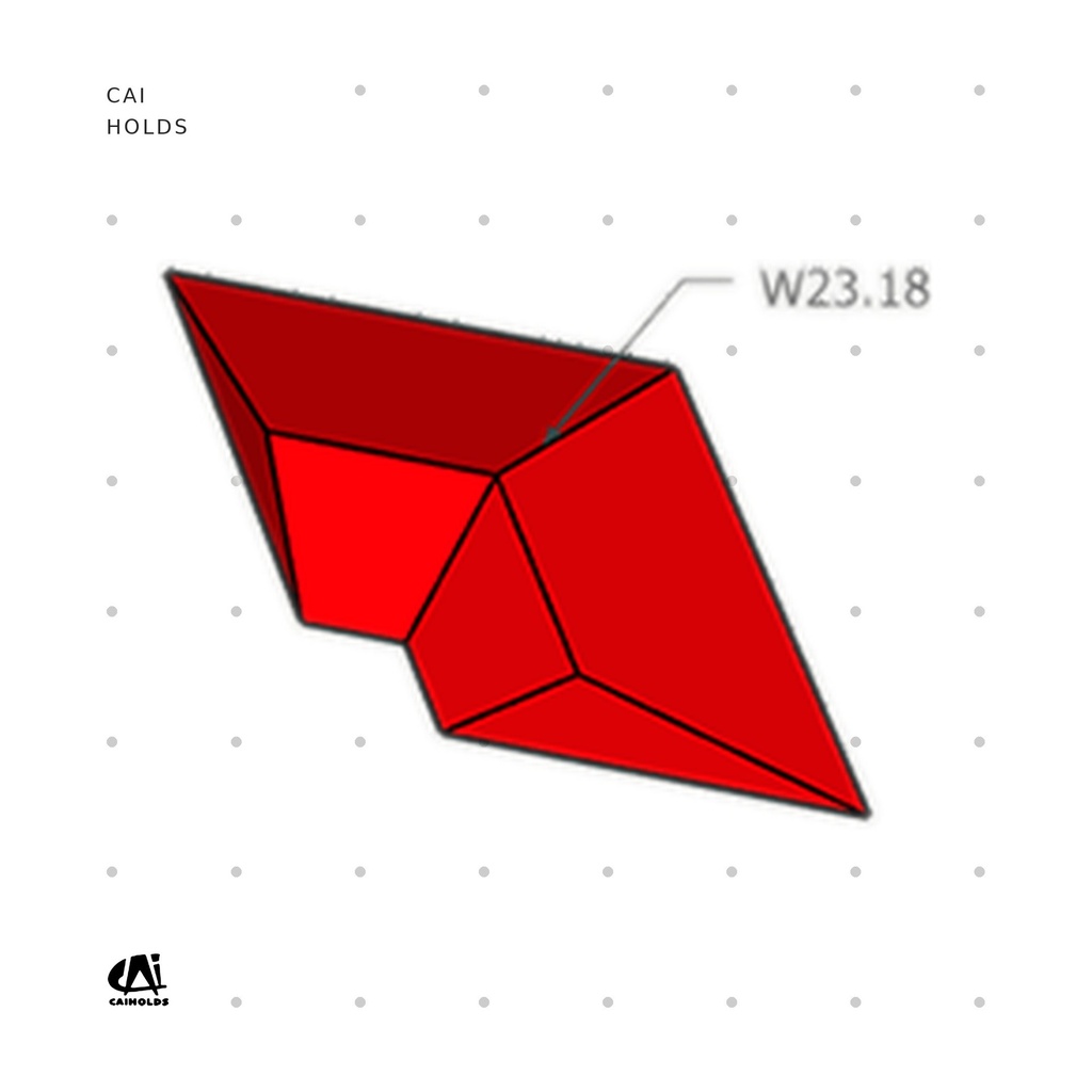 [CAI-W2318.FT] W2318.FT