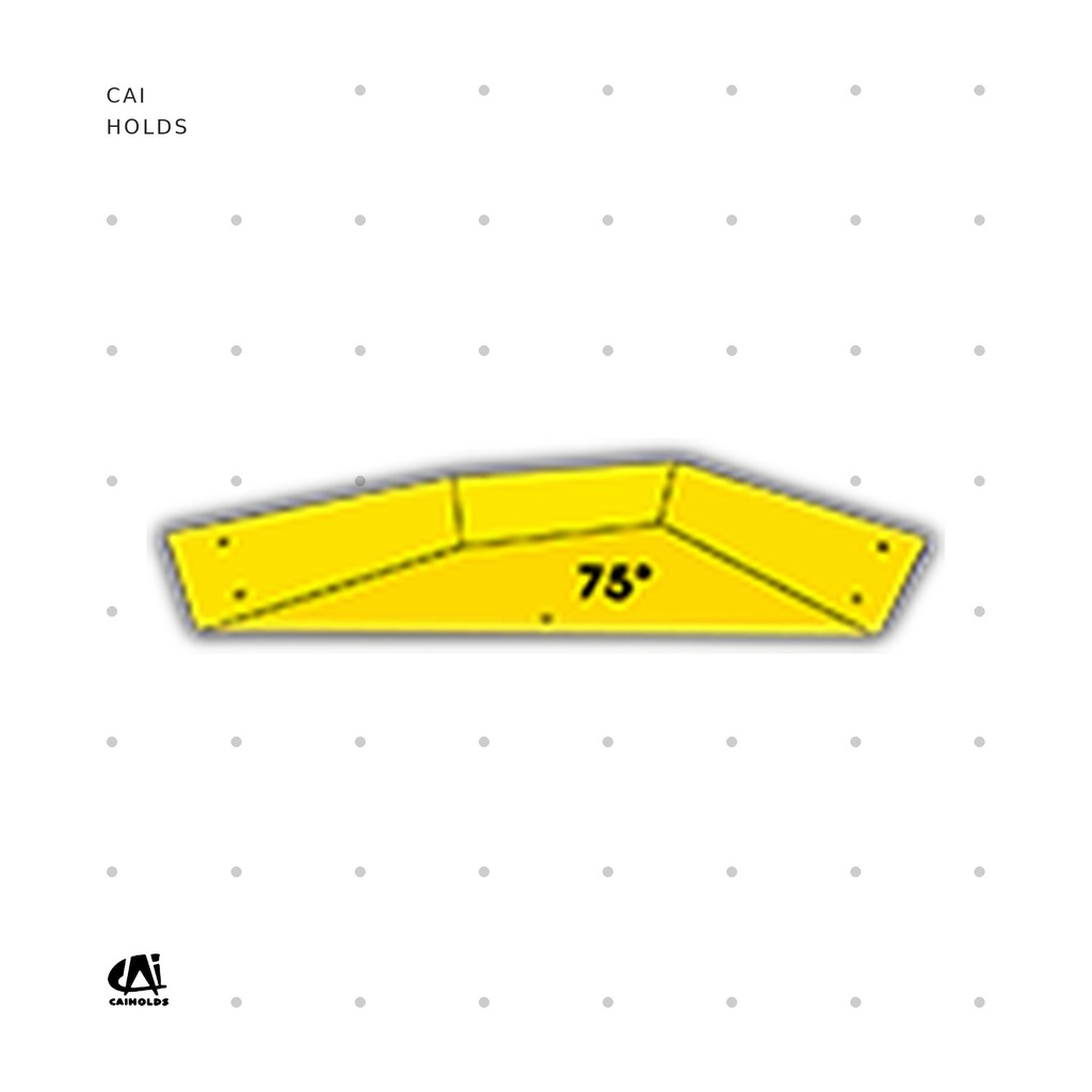 [CAI-W2401.FT] W2401.FT