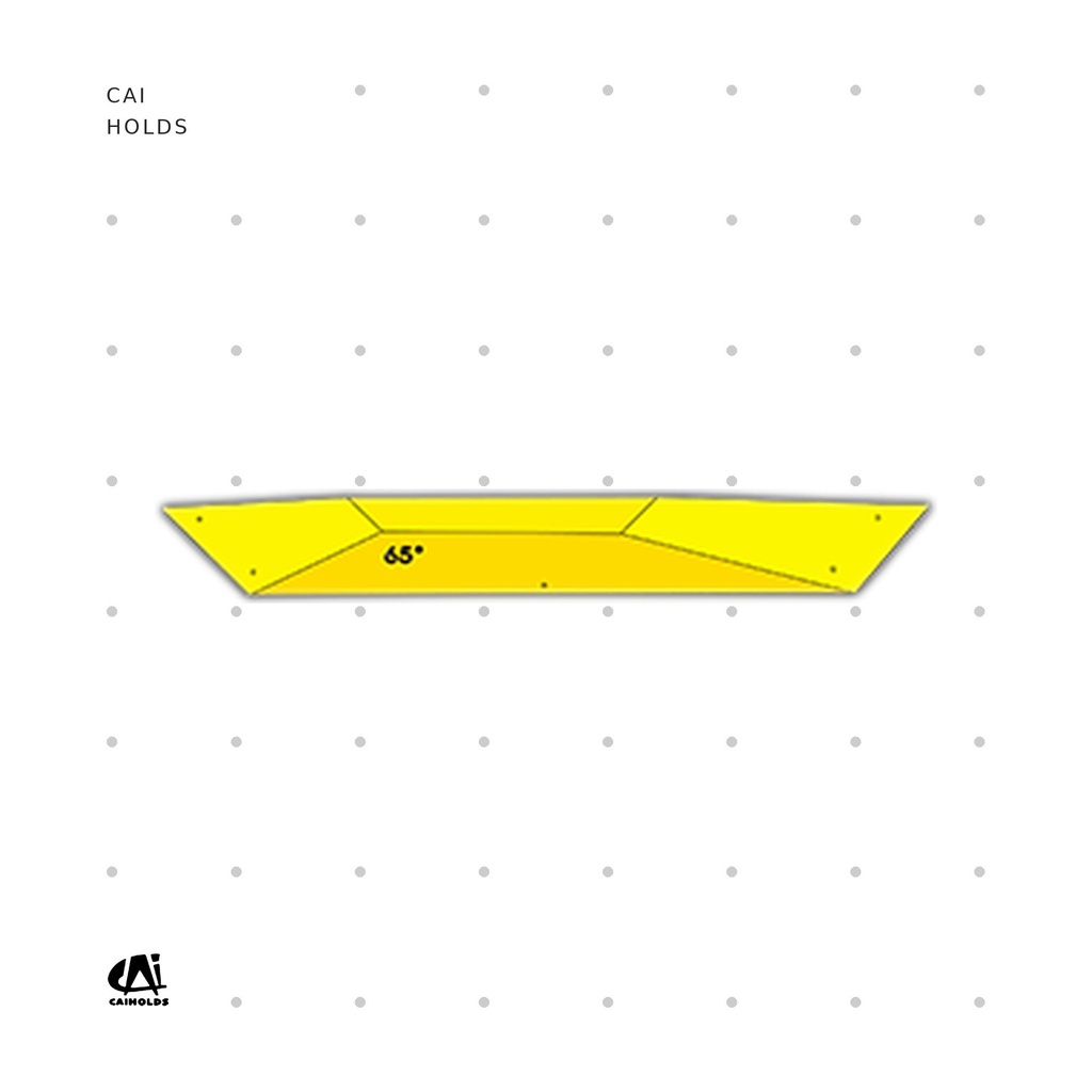 [CAI-W2409.FT] W2409.FT