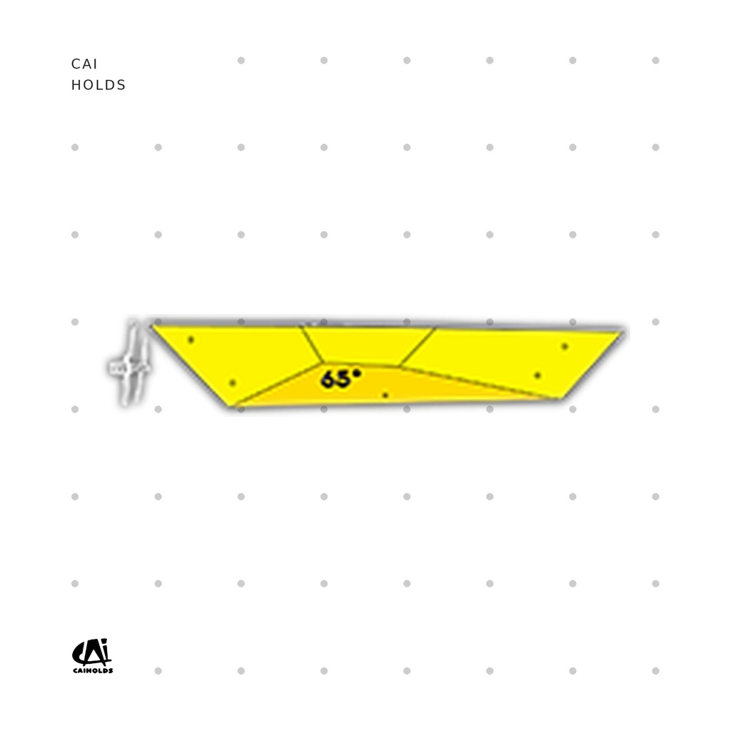 [CAI-W2410.FT] W2410.FT