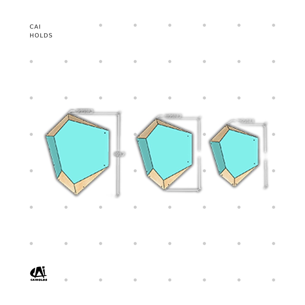 [CAI-W2507.WDT] W2507.WDT