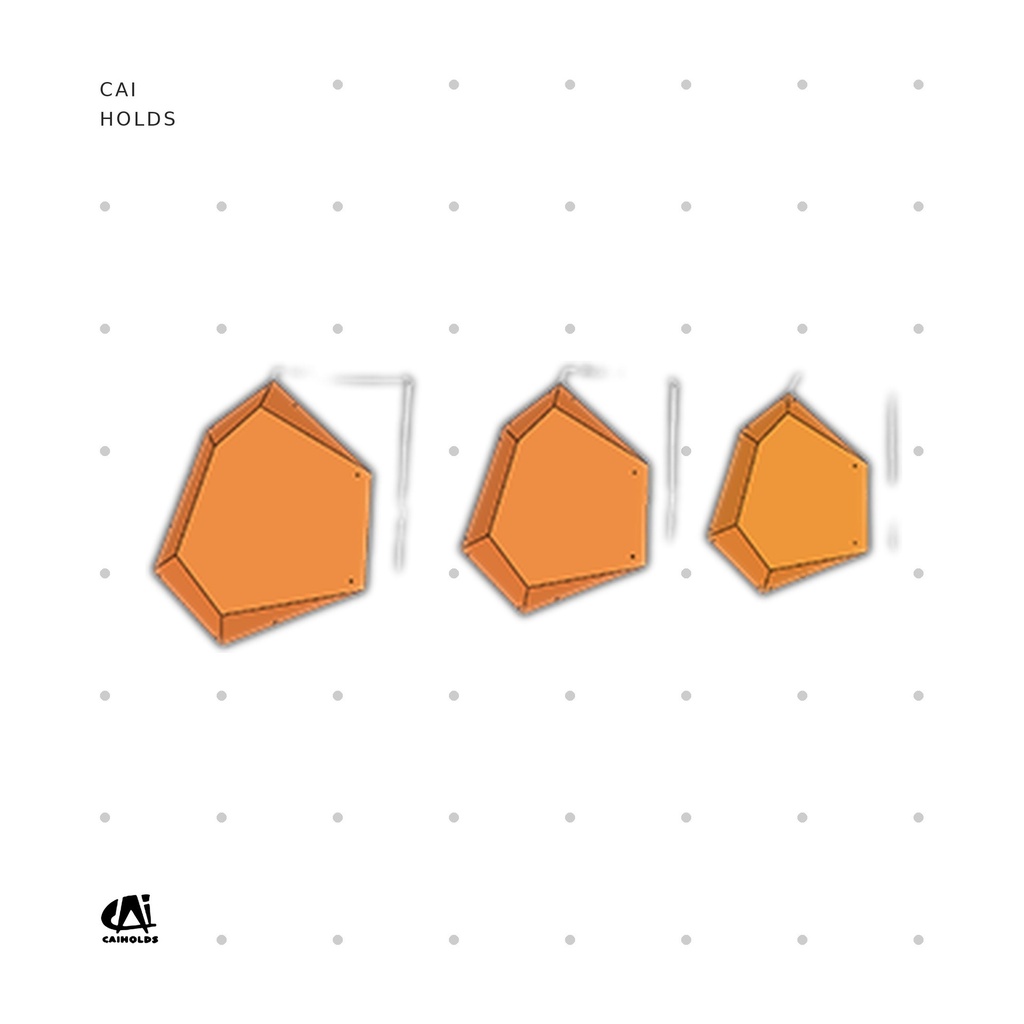 [CAI-W2508.FT] W2508.FT