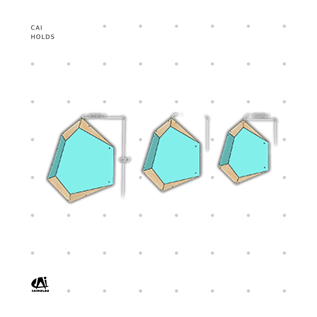 [CAI-W2508.WDT] W2508.WDT