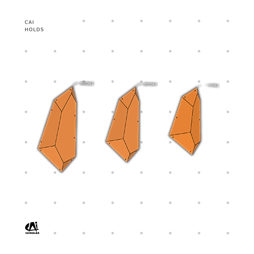 [CAI-W2510.FT] W2510.FT