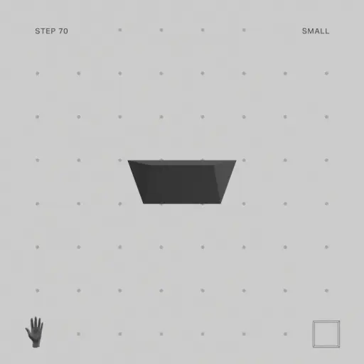 Step 70 (small)